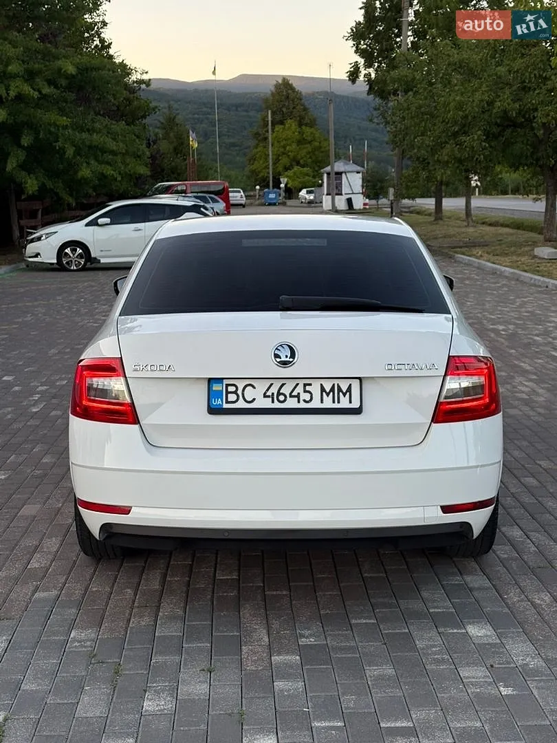 2017 Skoda Octavia - мініатюра 5