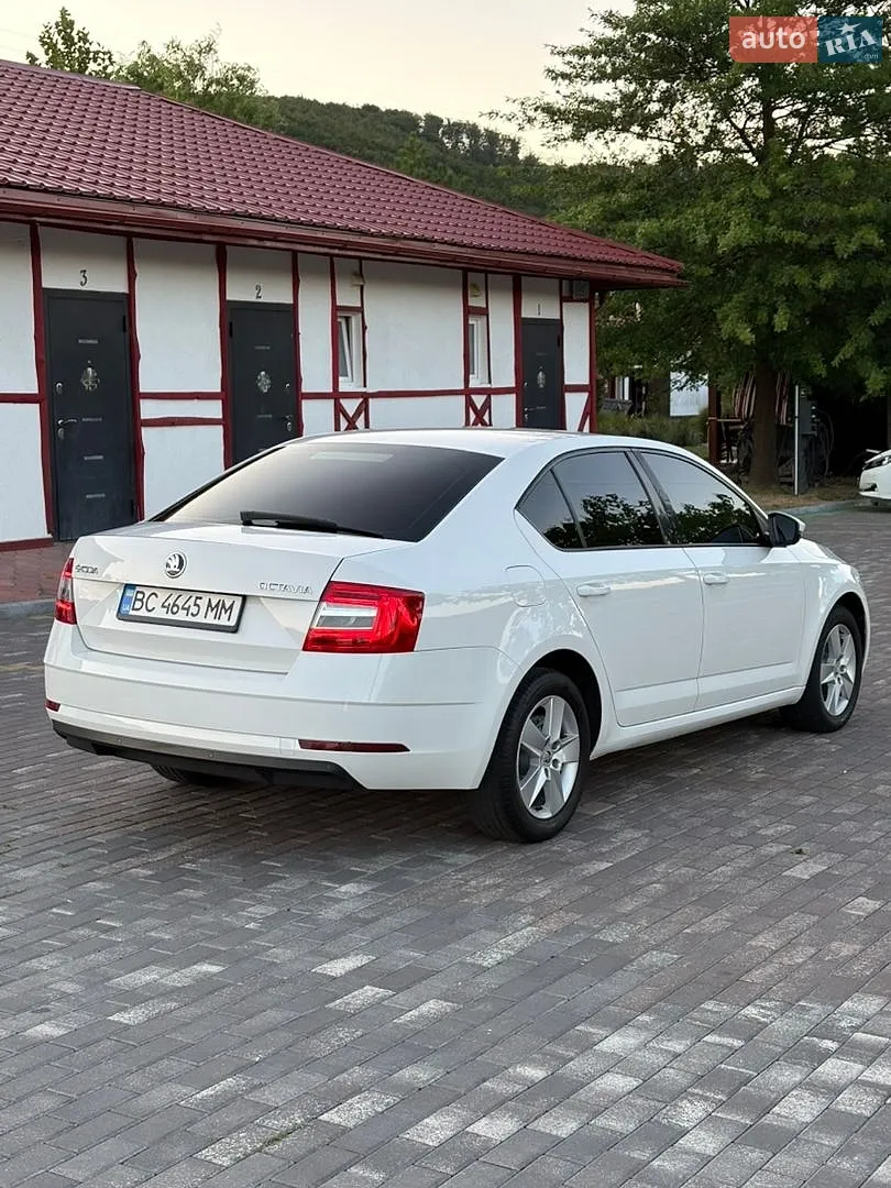 2017 Skoda Octavia - мініатюра 6