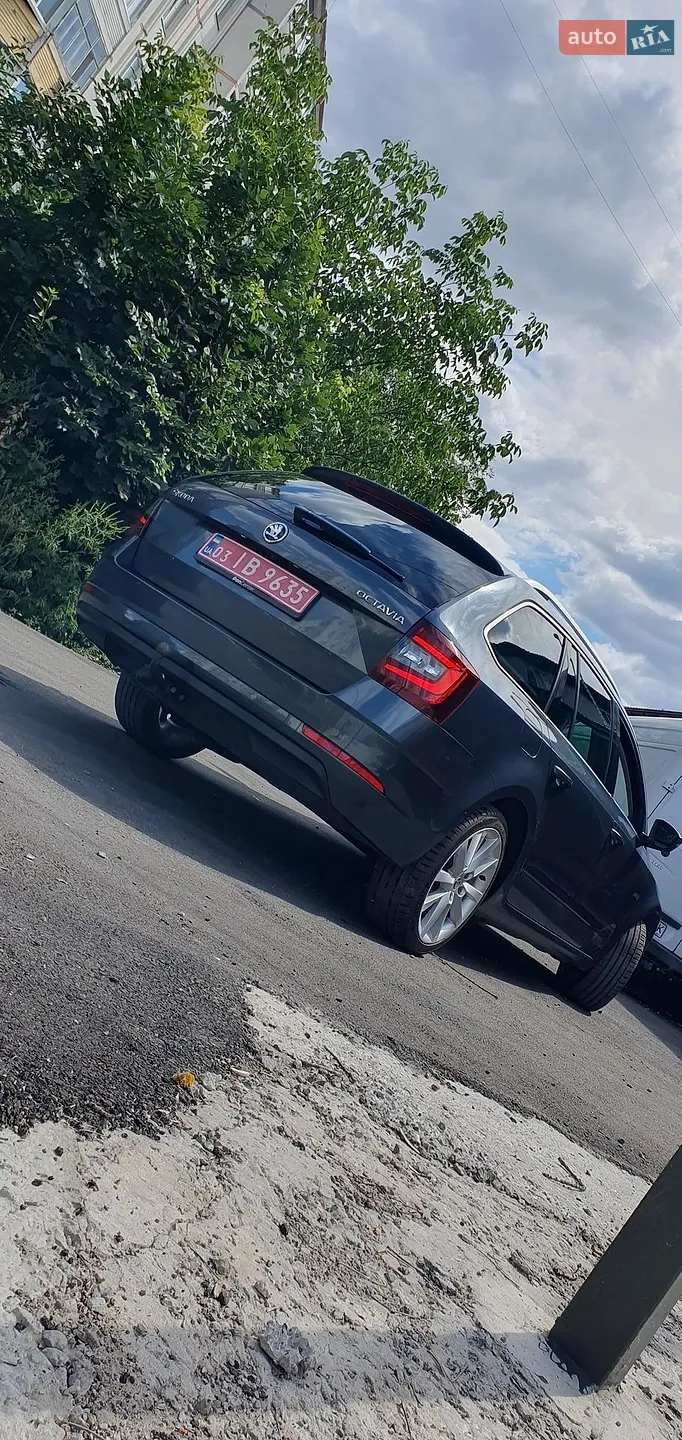 2018 Skoda Octavia - мініатюра 14