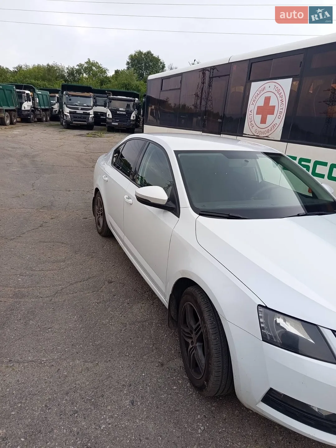 2019 Skoda Octavia - мініатюра 4