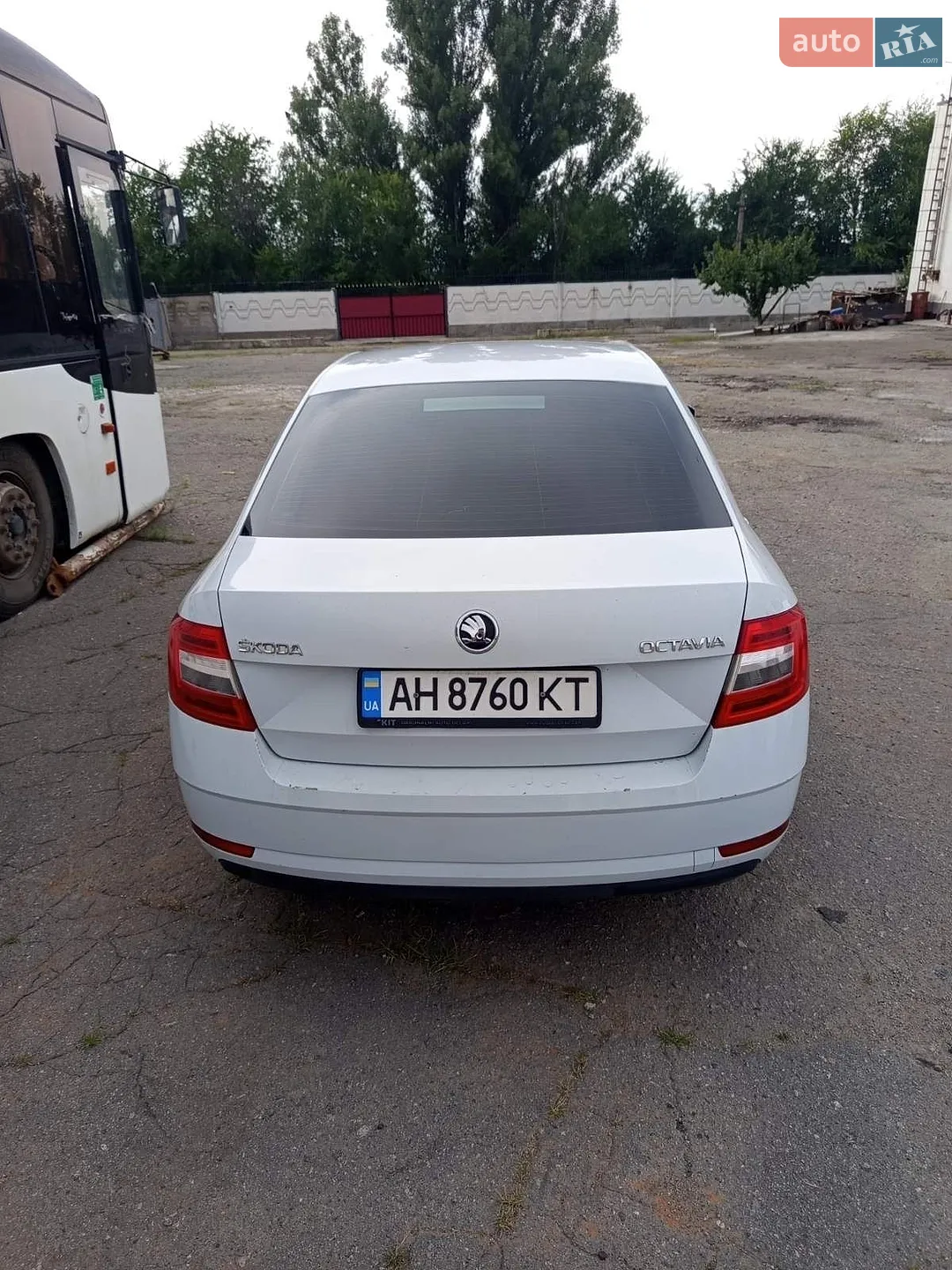 2019 Skoda Octavia - мініатюра 3