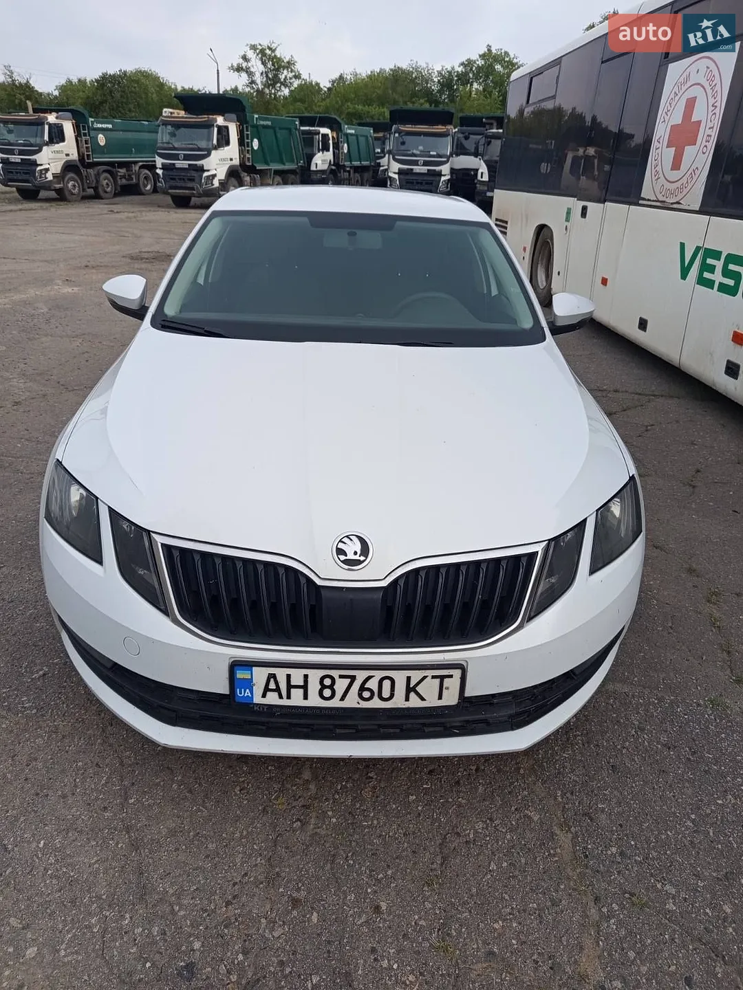 2019 Skoda Octavia - фото 1