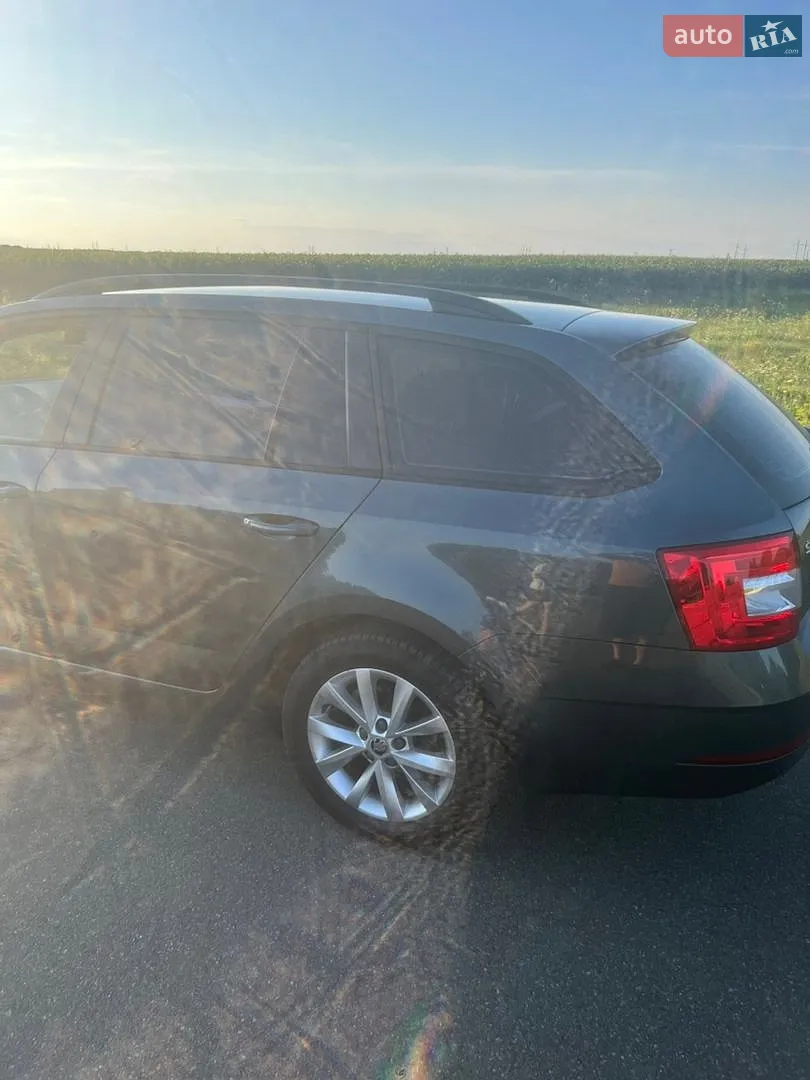 2017 Skoda Octavia - мініатюра 12