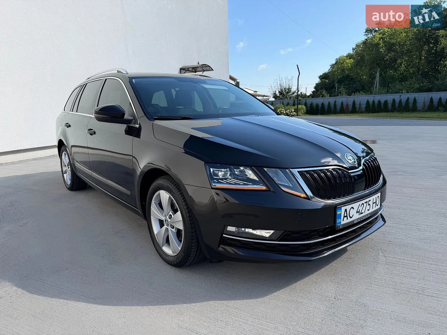 2019 Skoda Octavia - мініатюра 3