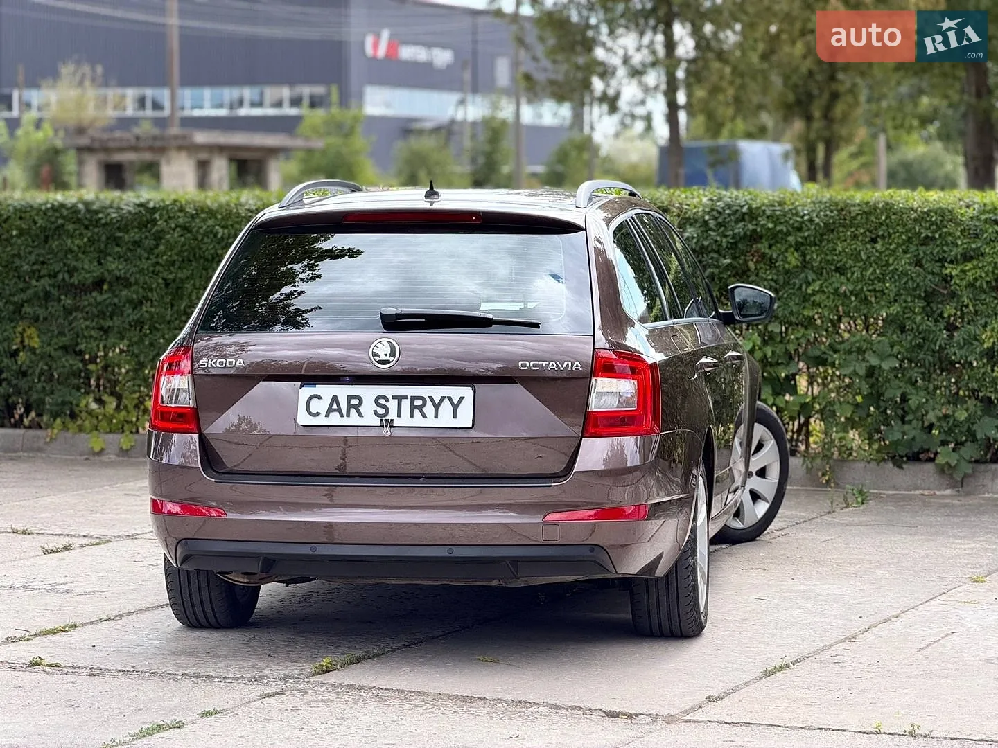 2013 Skoda Octavia - мініатюра 3