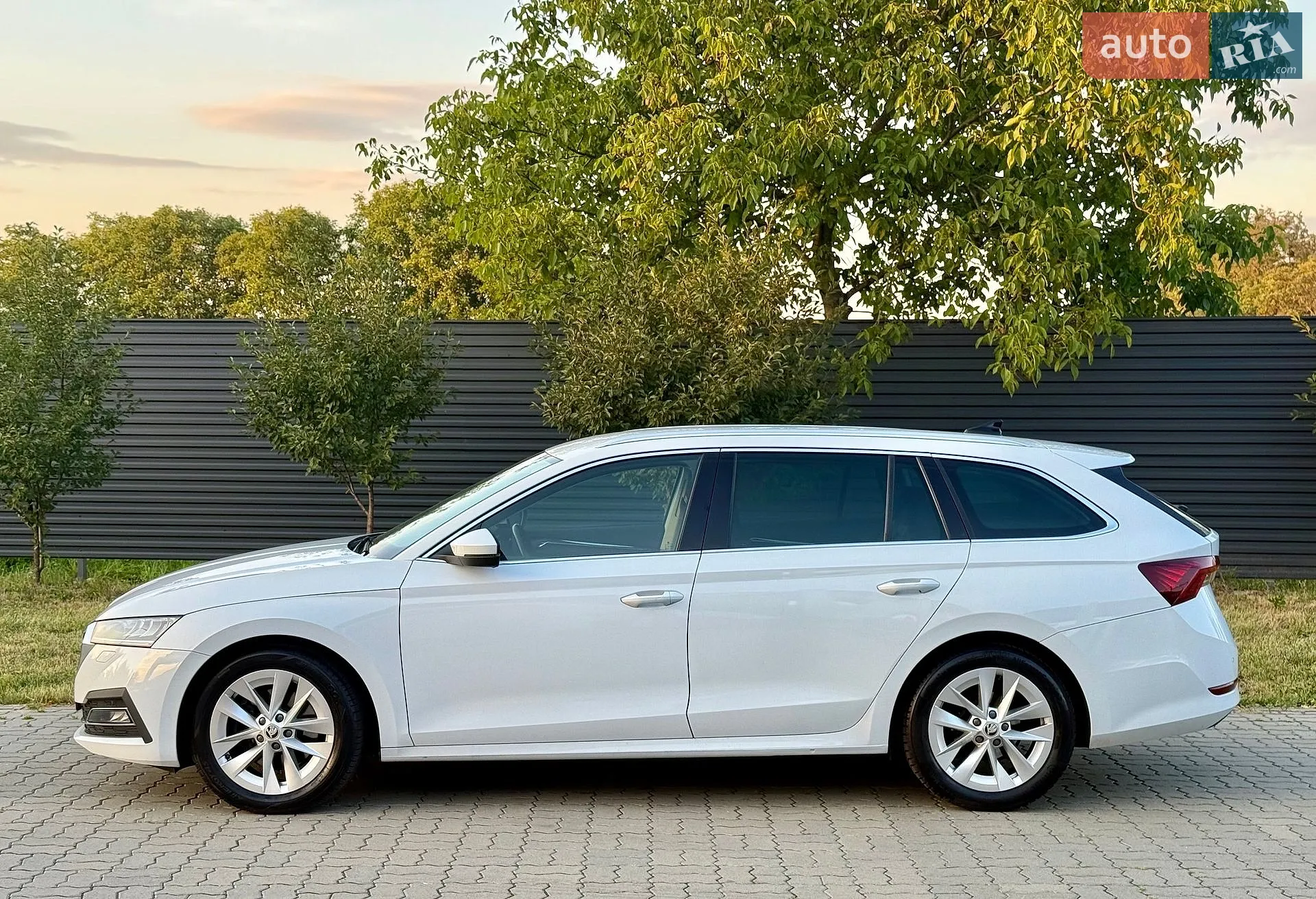 2021 Skoda Octavia - мініатюра 14