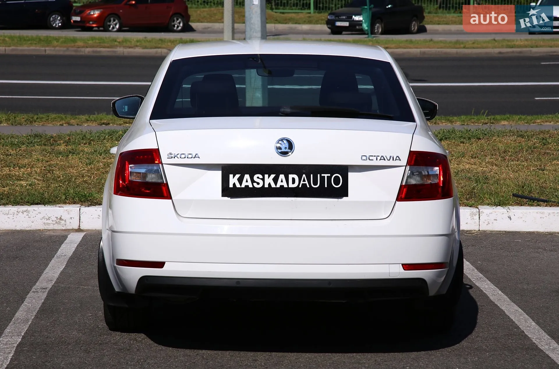 2019 Skoda Octavia - мініатюра 5