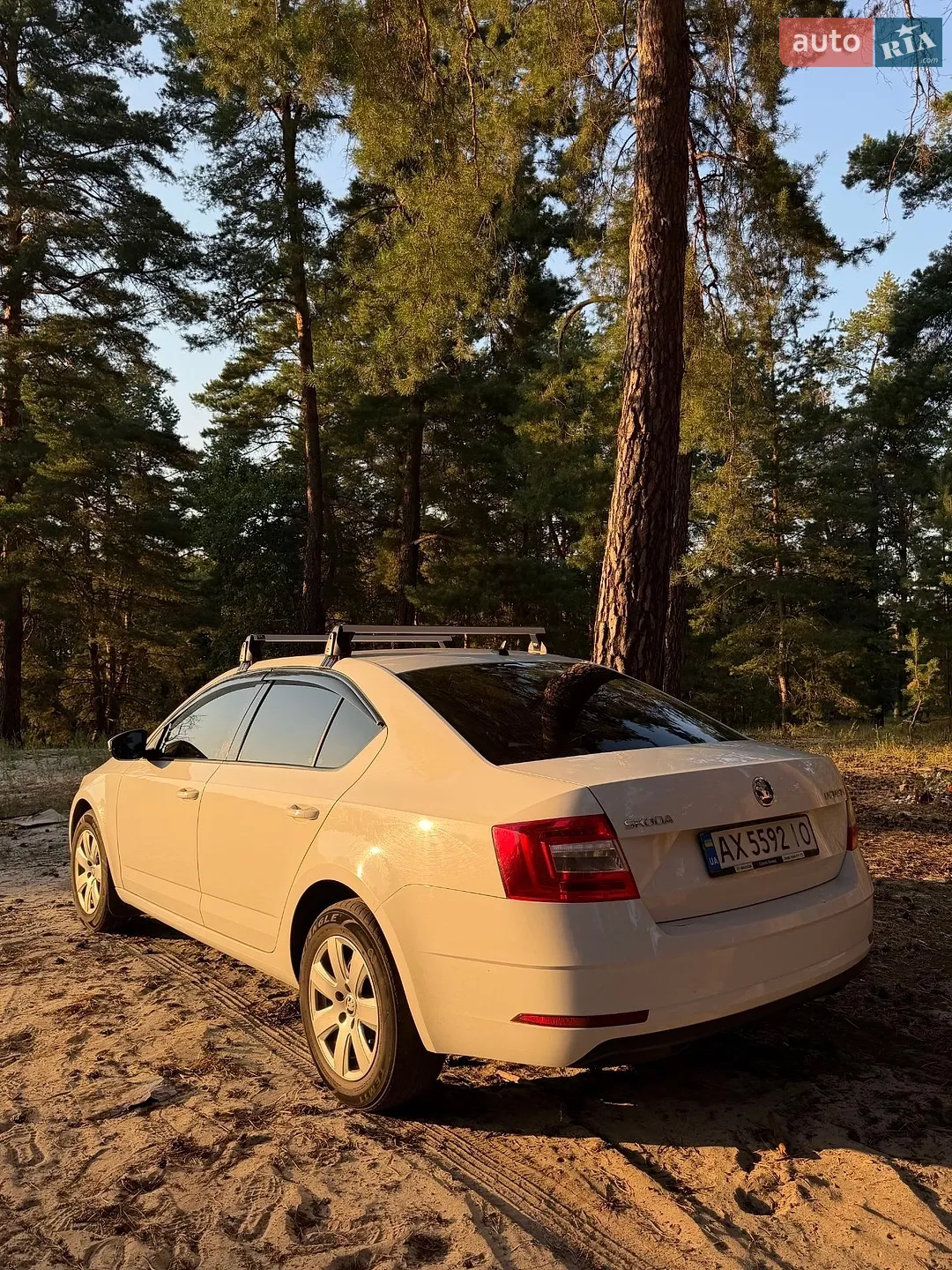 2020 Skoda Octavia - мініатюра 4