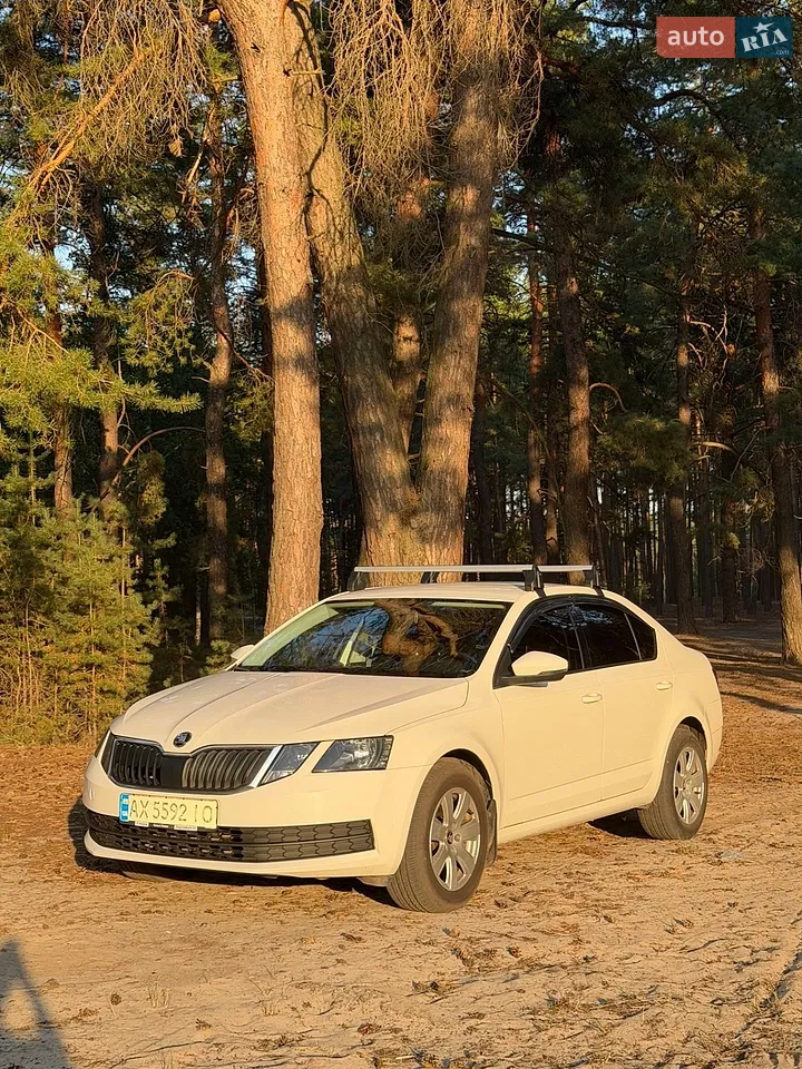 2019 Skoda Octavia - мініатюра 38