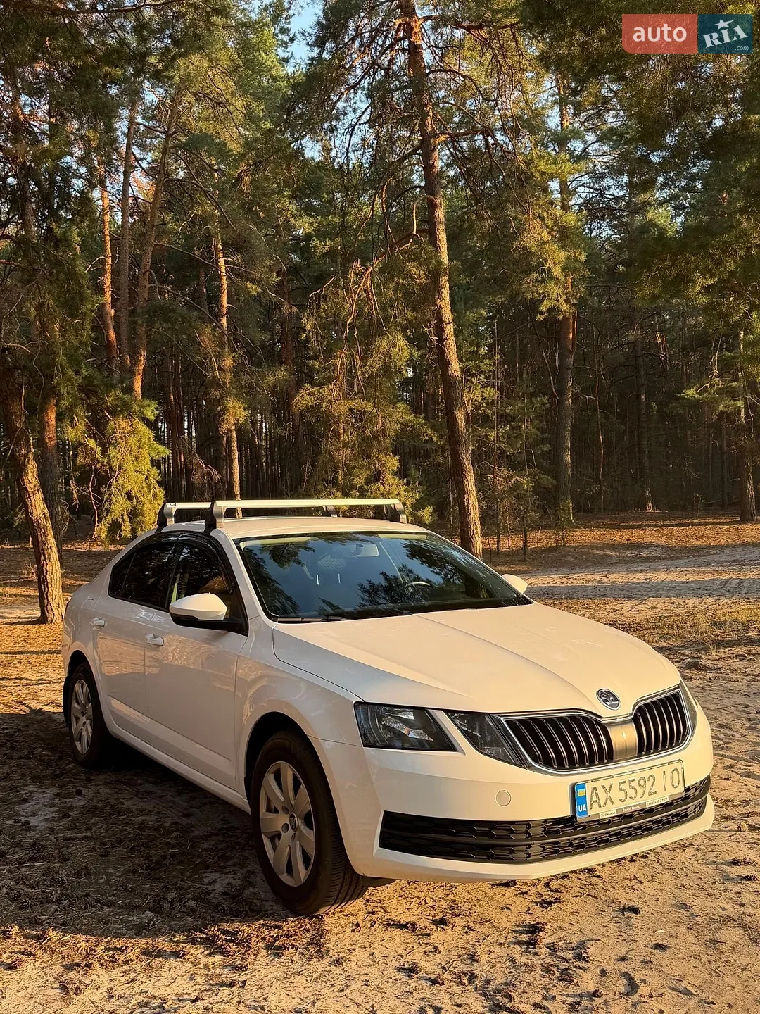 2020 Skoda Octavia - мініатюра 3