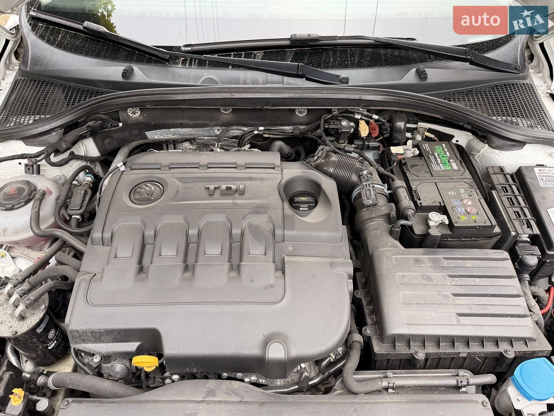 2018 Skoda Octavia - мініатюра 7