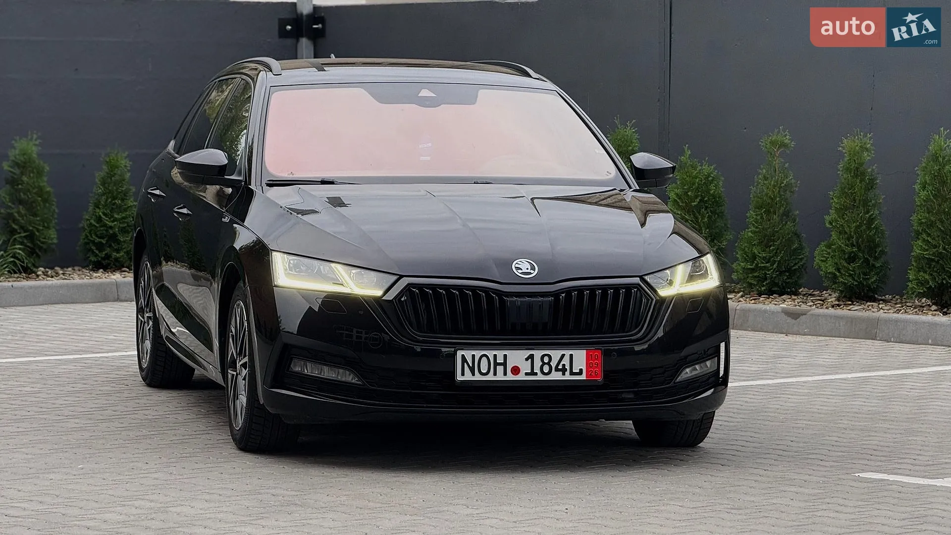 2021 Skoda Octavia - мініатюра 3