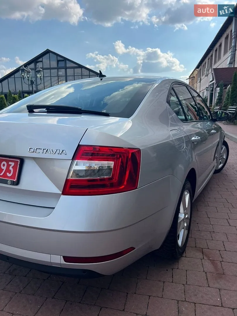 2019 Skoda Octavia - мініатюра 10