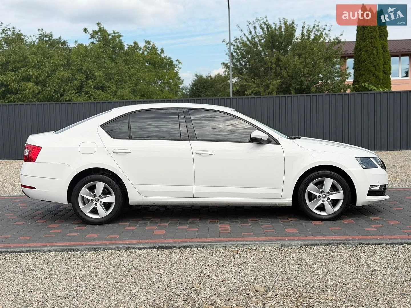 2019 Skoda Octavia - мініатюра 6
