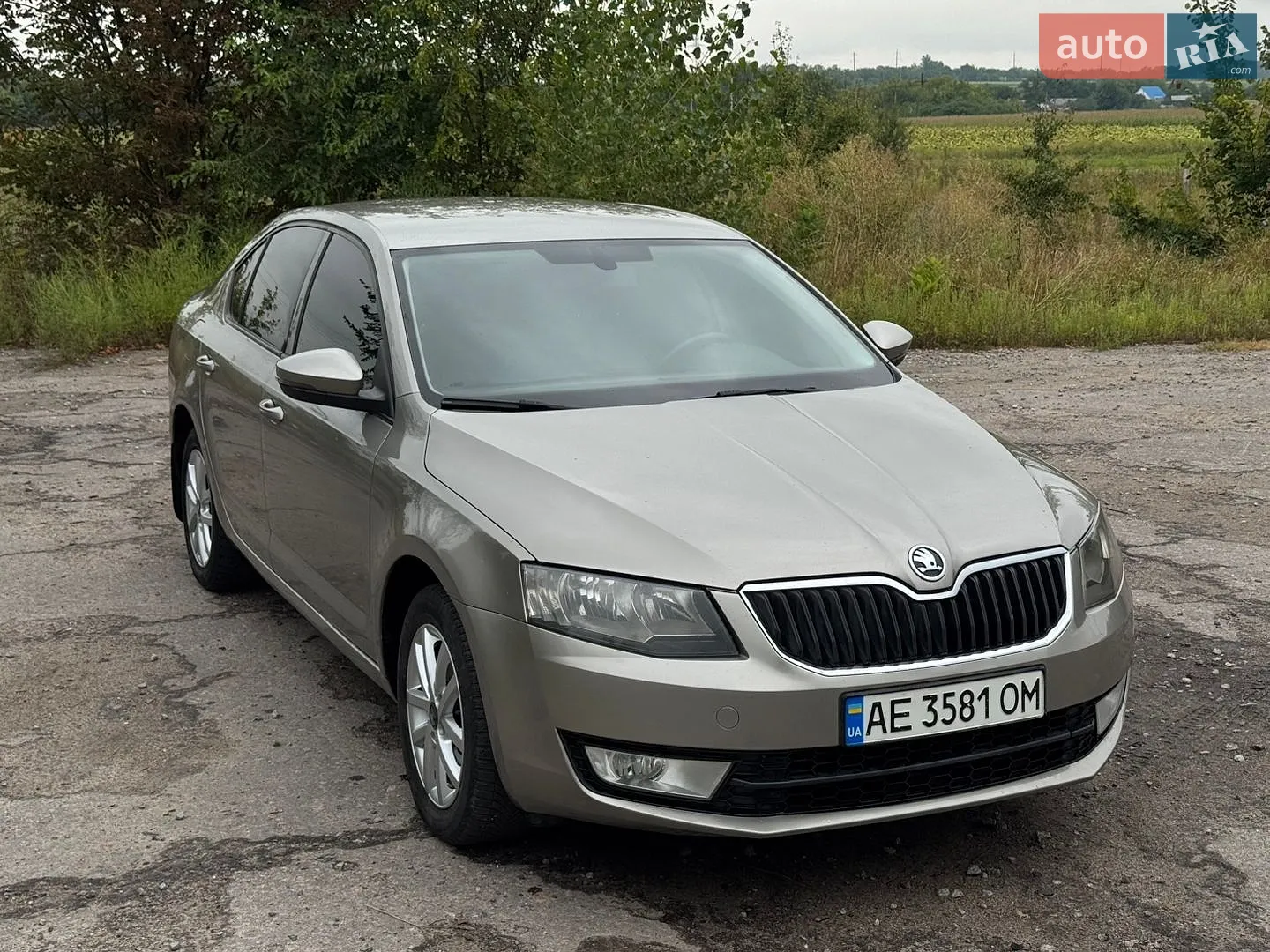 2013 Skoda Octavia - фото 1