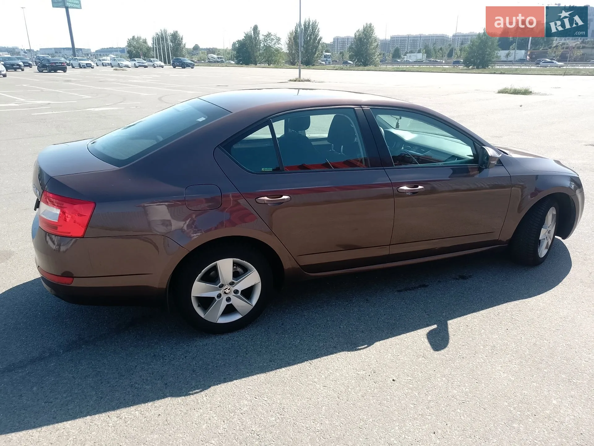 2014 Skoda Octavia - мініатюра 5