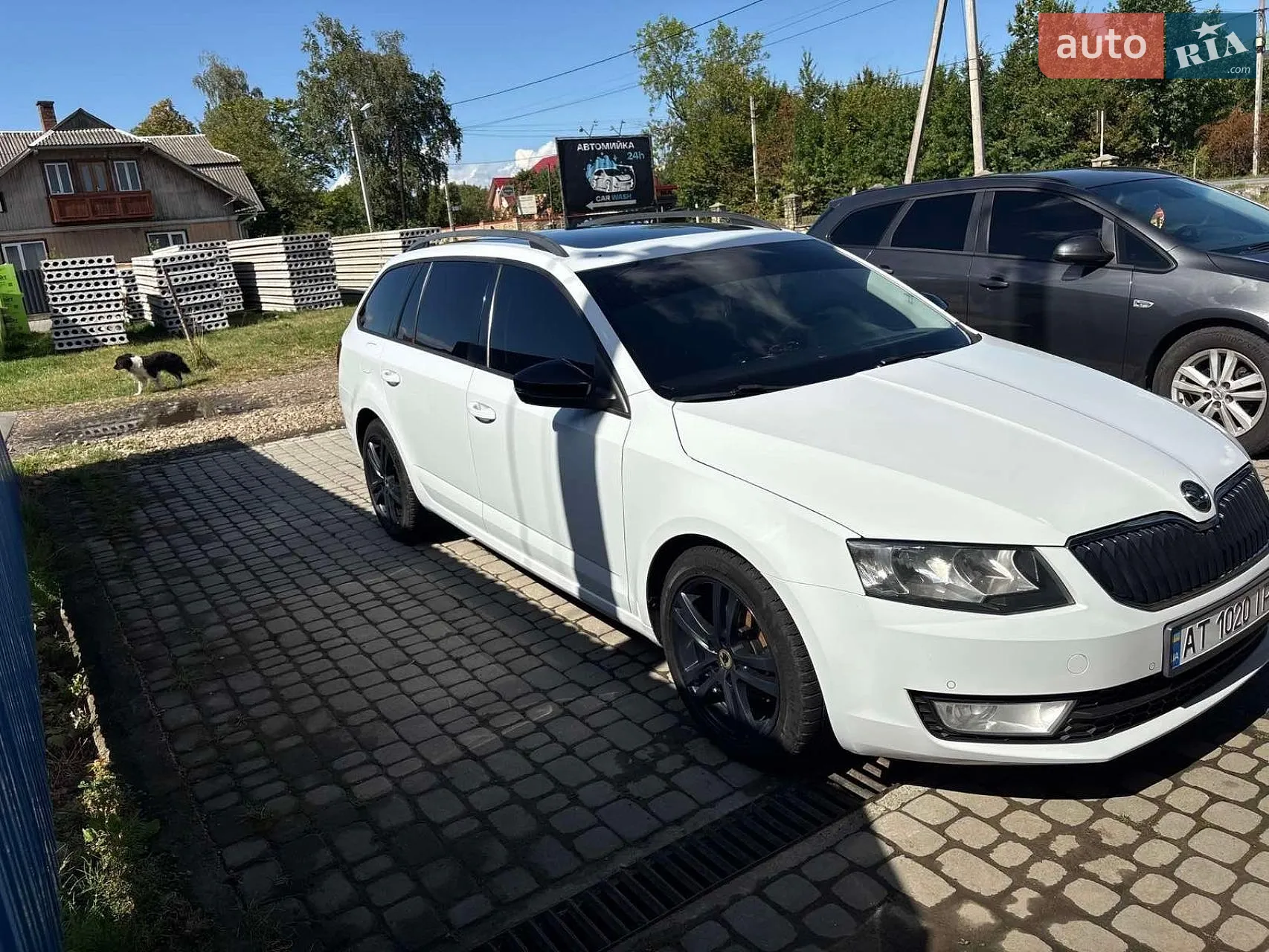 2014 Skoda Octavia - мініатюра 10