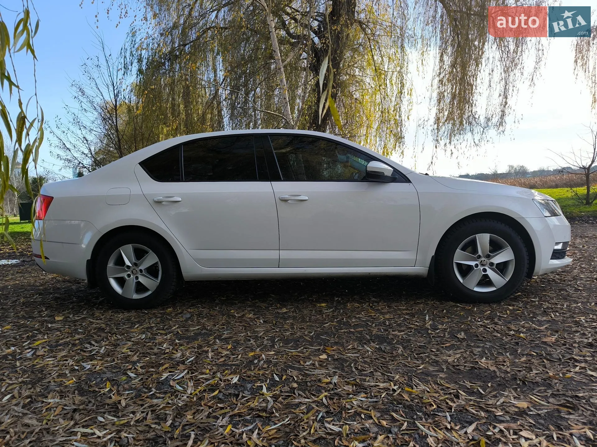 2018 Skoda Octavia - мініатюра 14