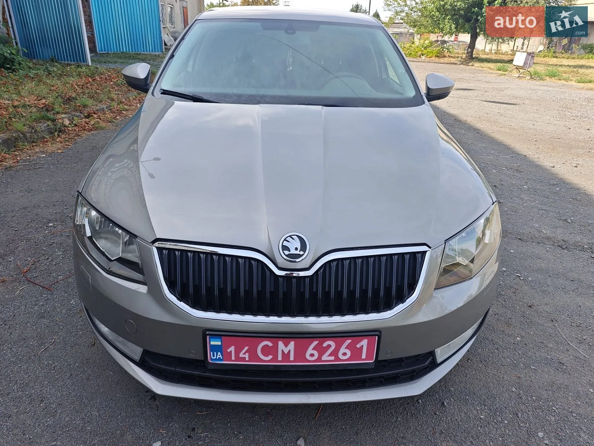 2013 Skoda Octavia - фото 1