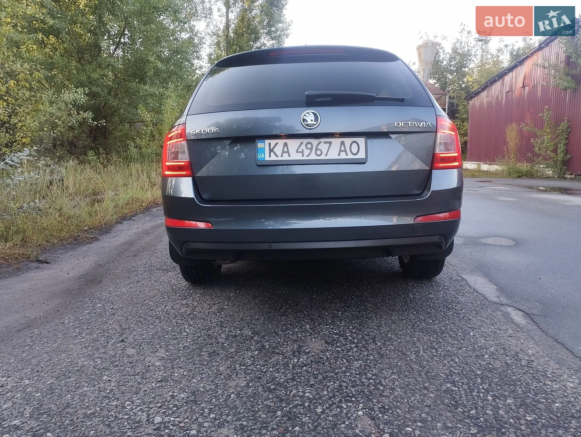 2017 Skoda Octavia - мініатюра 7