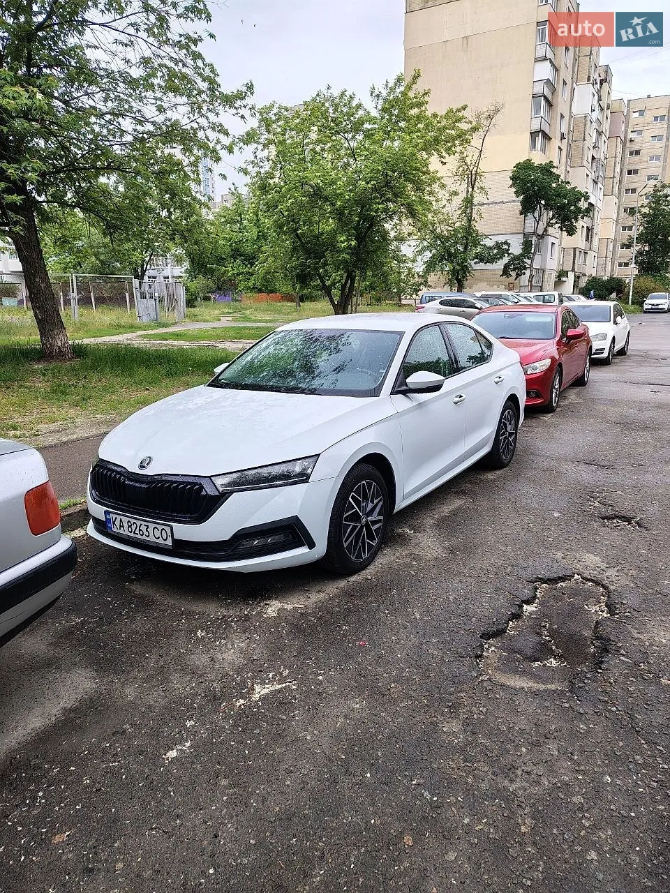 2020 Skoda Octavia - фото 1