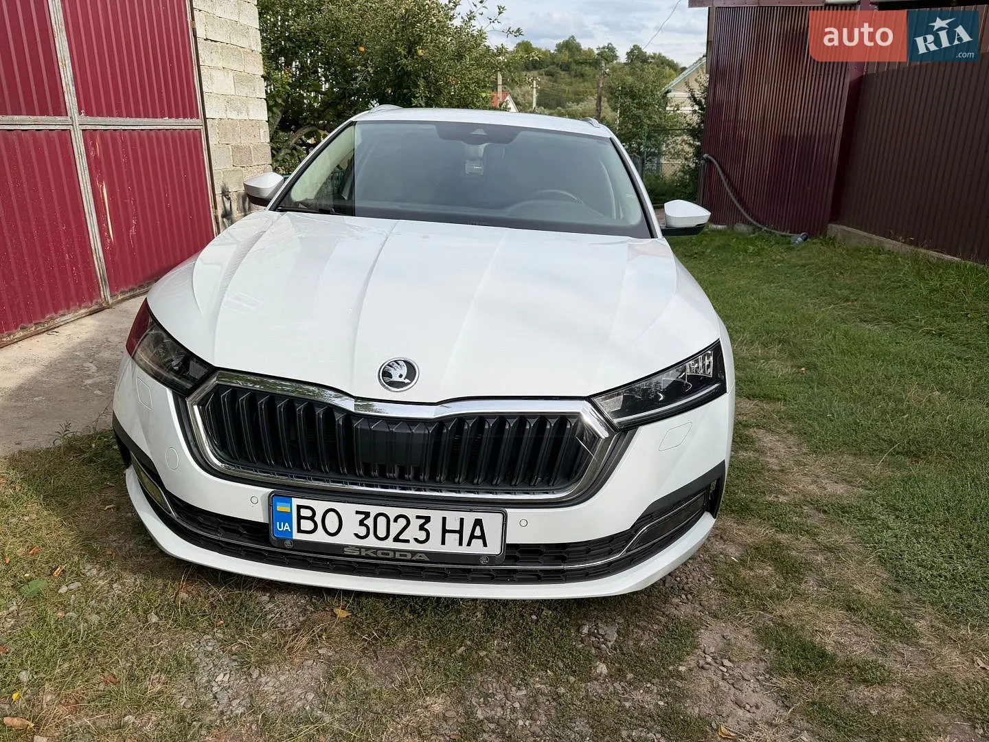 2020 Skoda Octavia - фото 1