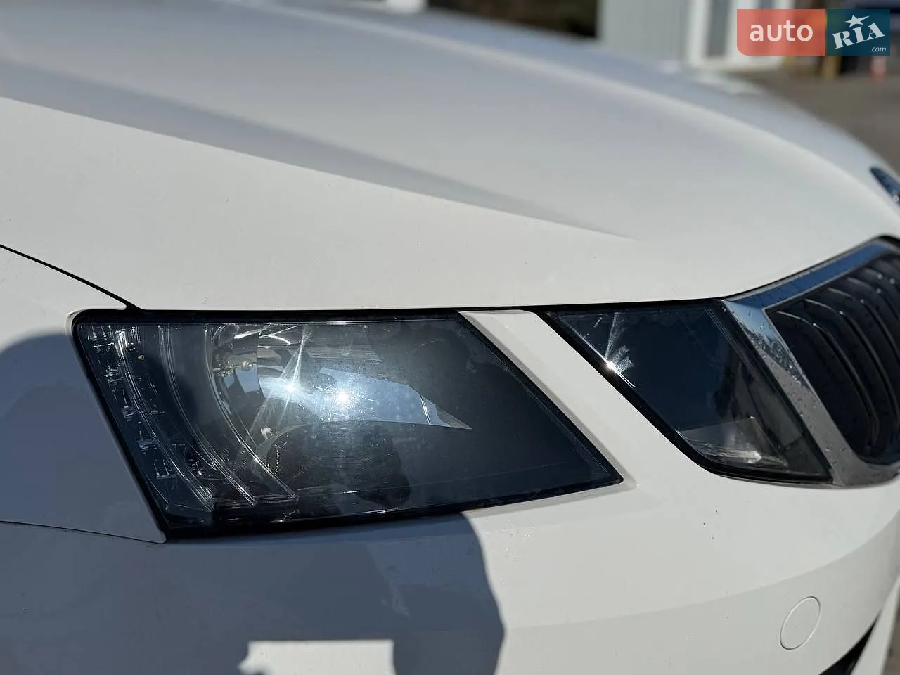 2019 Skoda Octavia - мініатюра 8