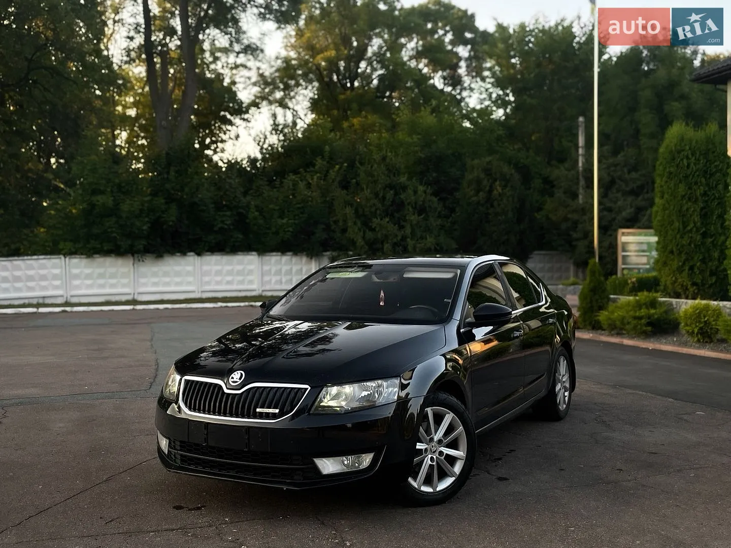 2015 Skoda Octavia - мініатюра 3