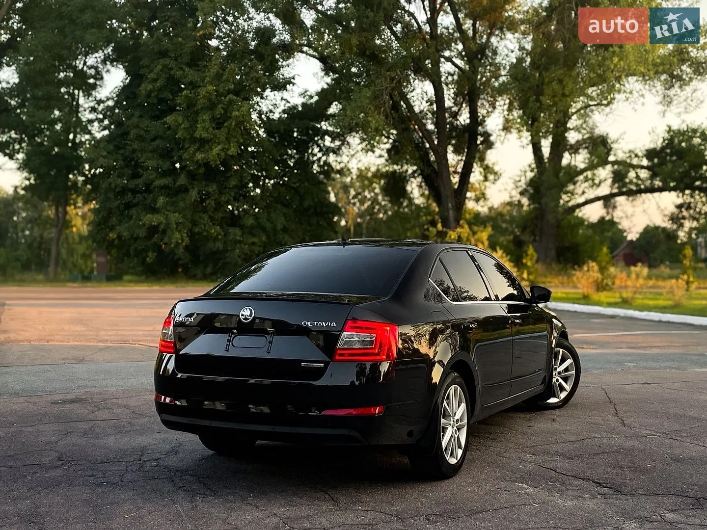 2015 Skoda Octavia - мініатюра 6