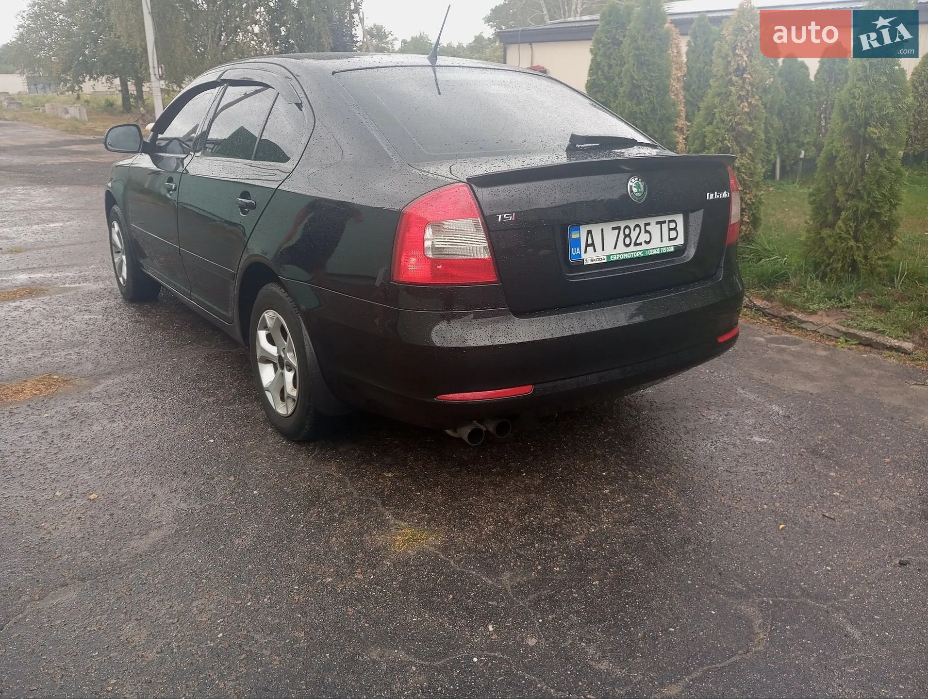 2011 Skoda Octavia - мініатюра 4