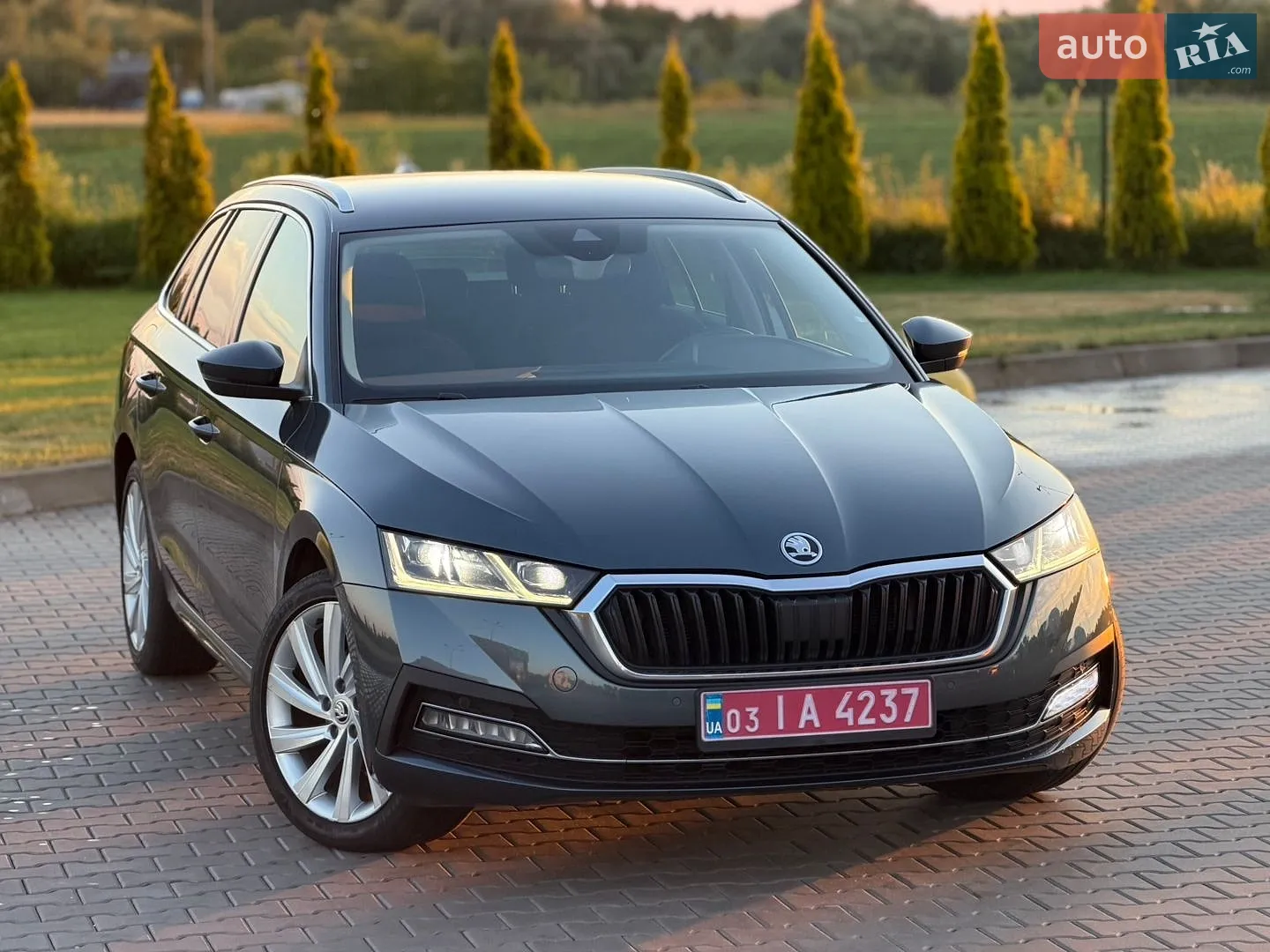 2021 Skoda Octavia - мініатюра 10