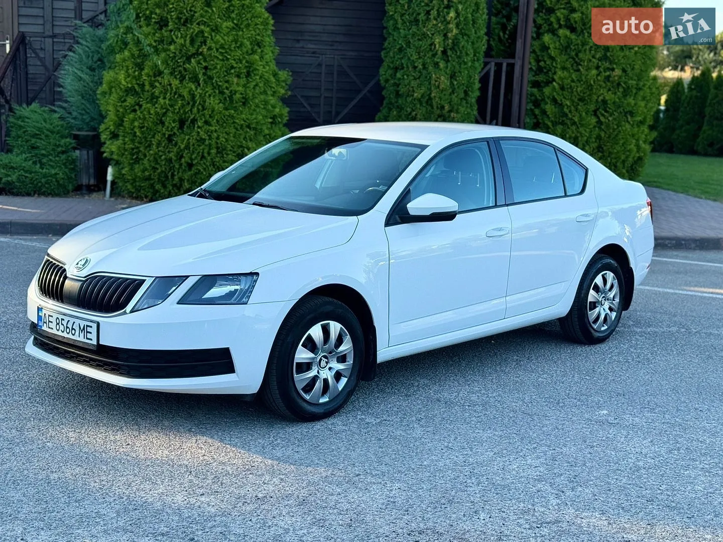 2019 Skoda Octavia - мініатюра 3
