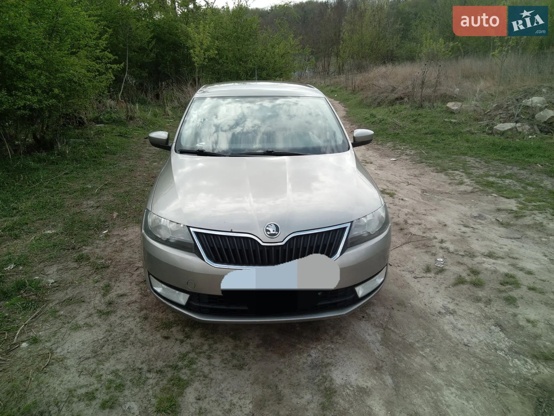 2014 Skoda Rapid - фото 1