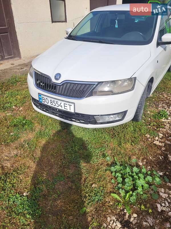 Хэтчбек Skoda Rapid 2014 в Скалате фото 19 Хэтчбек Skoda Rapid 2014 в Скалате
