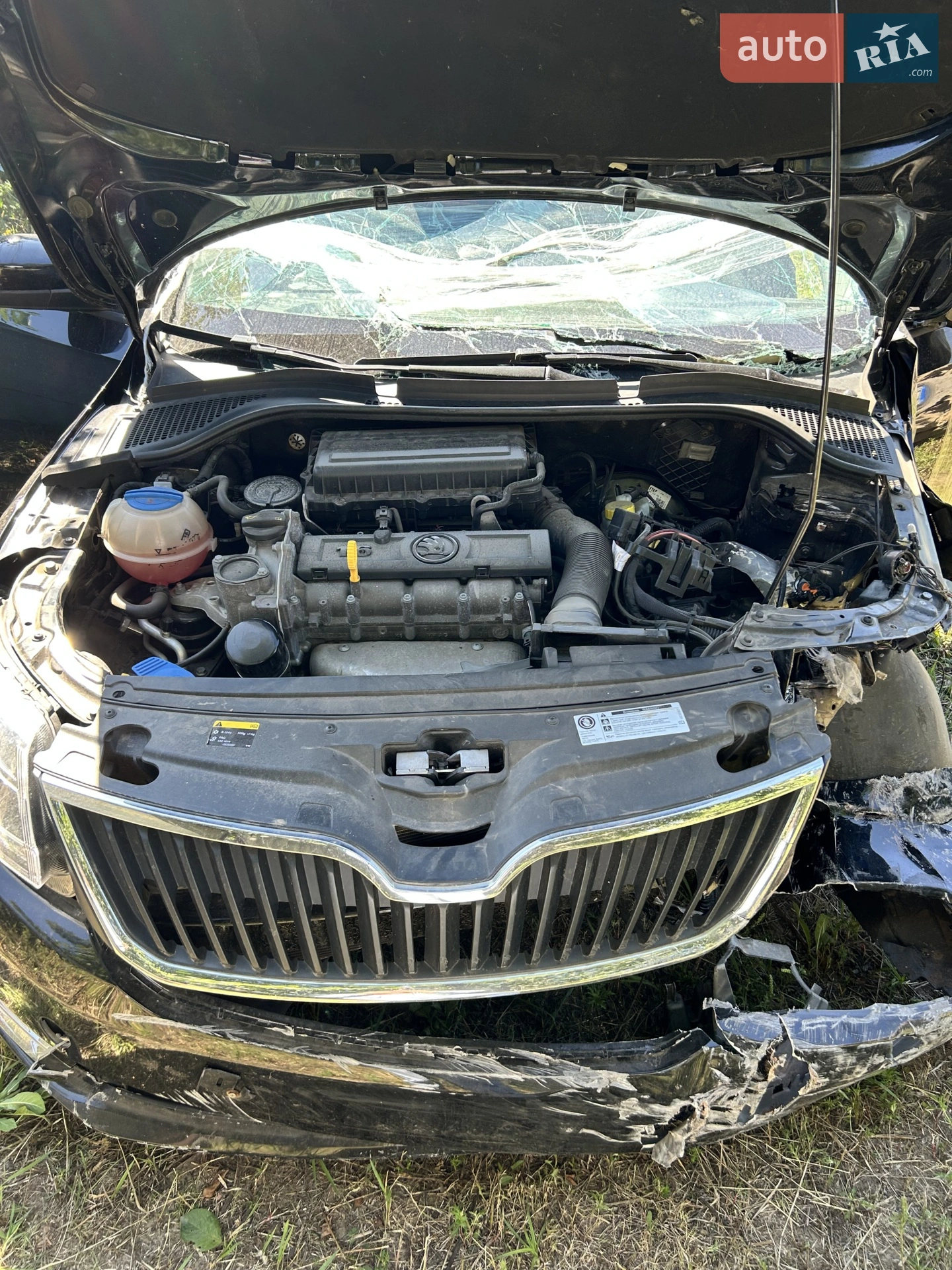 2014 Skoda Rapid - фото 1