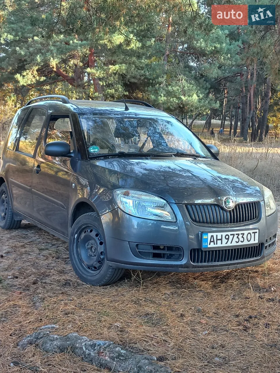 2010 Skoda Roomster - мініатюра 28