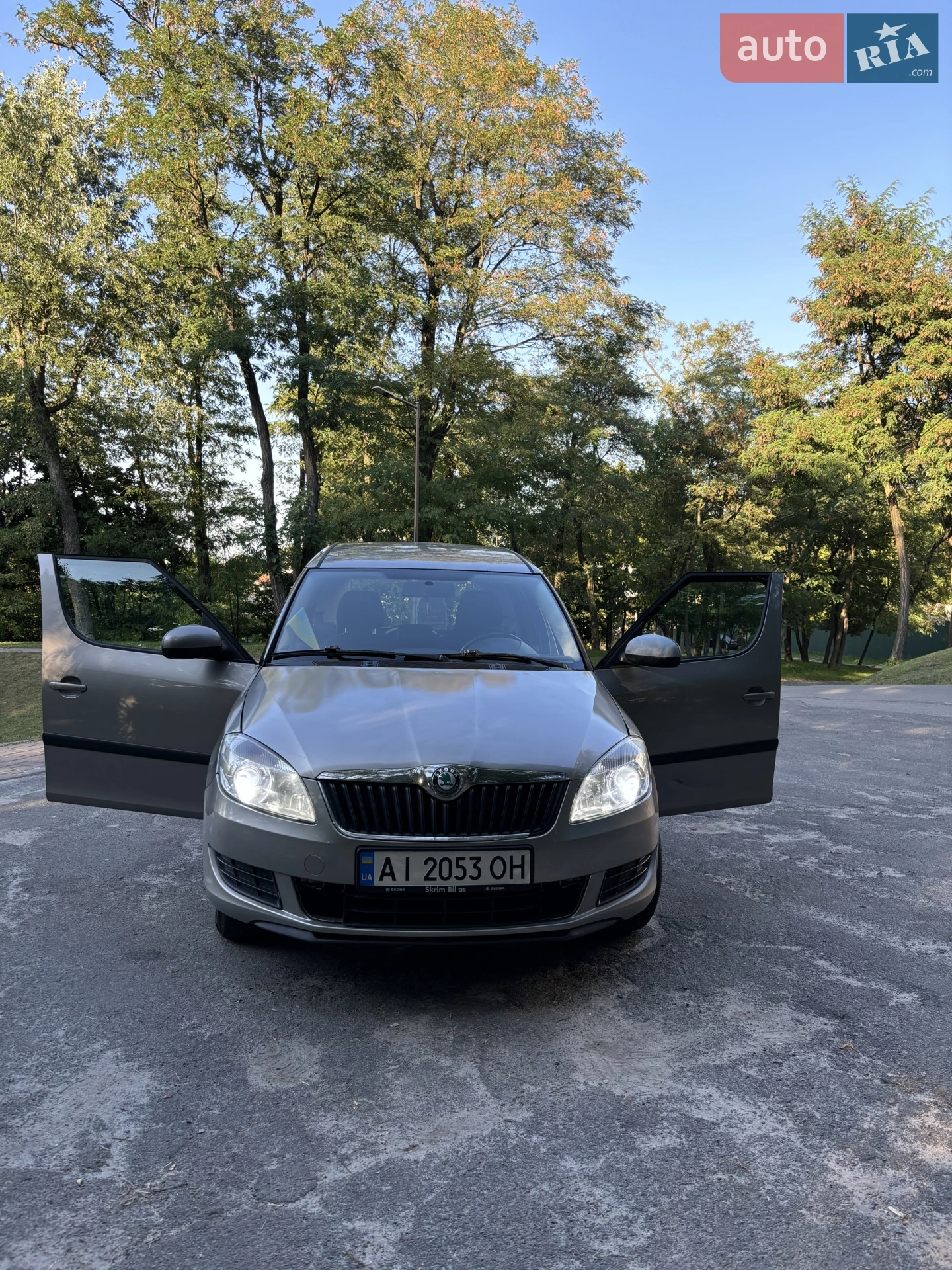 2011 Skoda Roomster - мініатюра 4