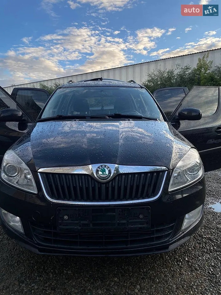 2010 Skoda Roomster - мініатюра 20