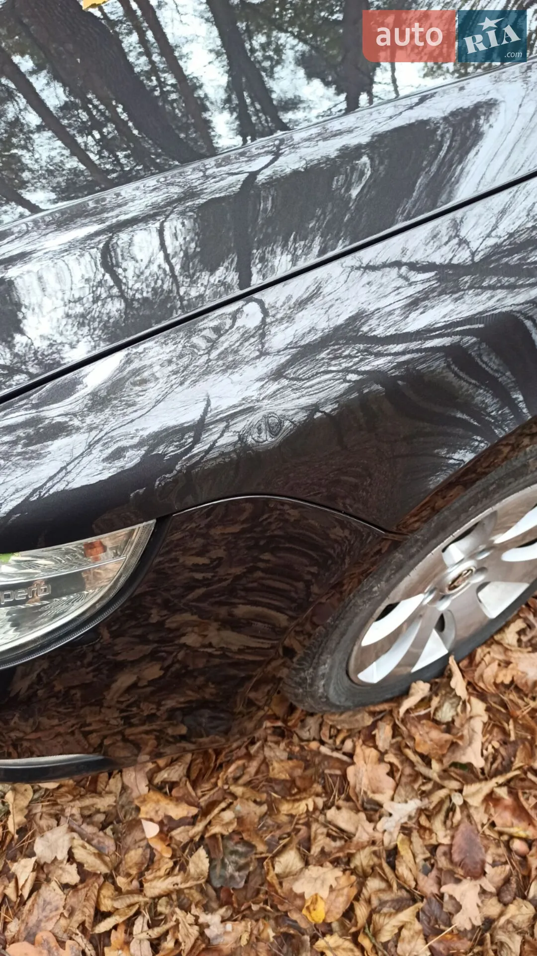 2010 Skoda Superb - мініатюра 6