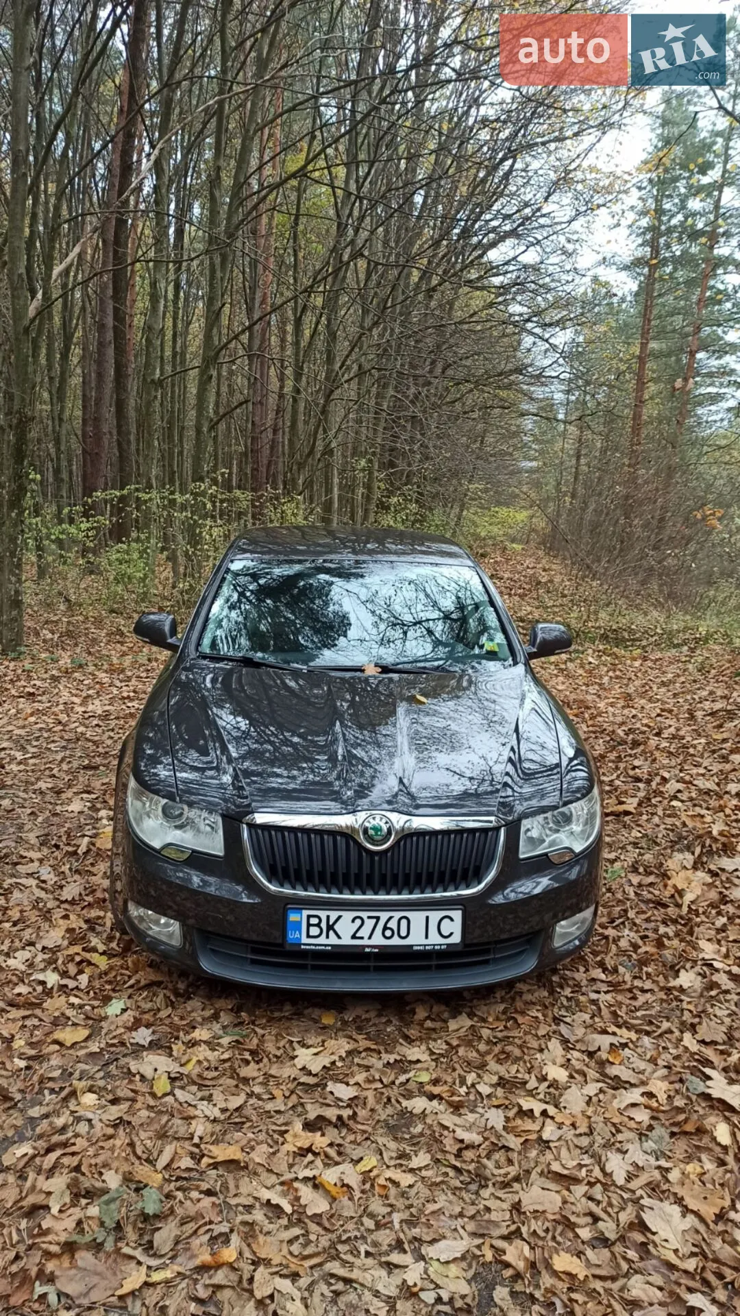 2010 Skoda Superb - мініатюра 4