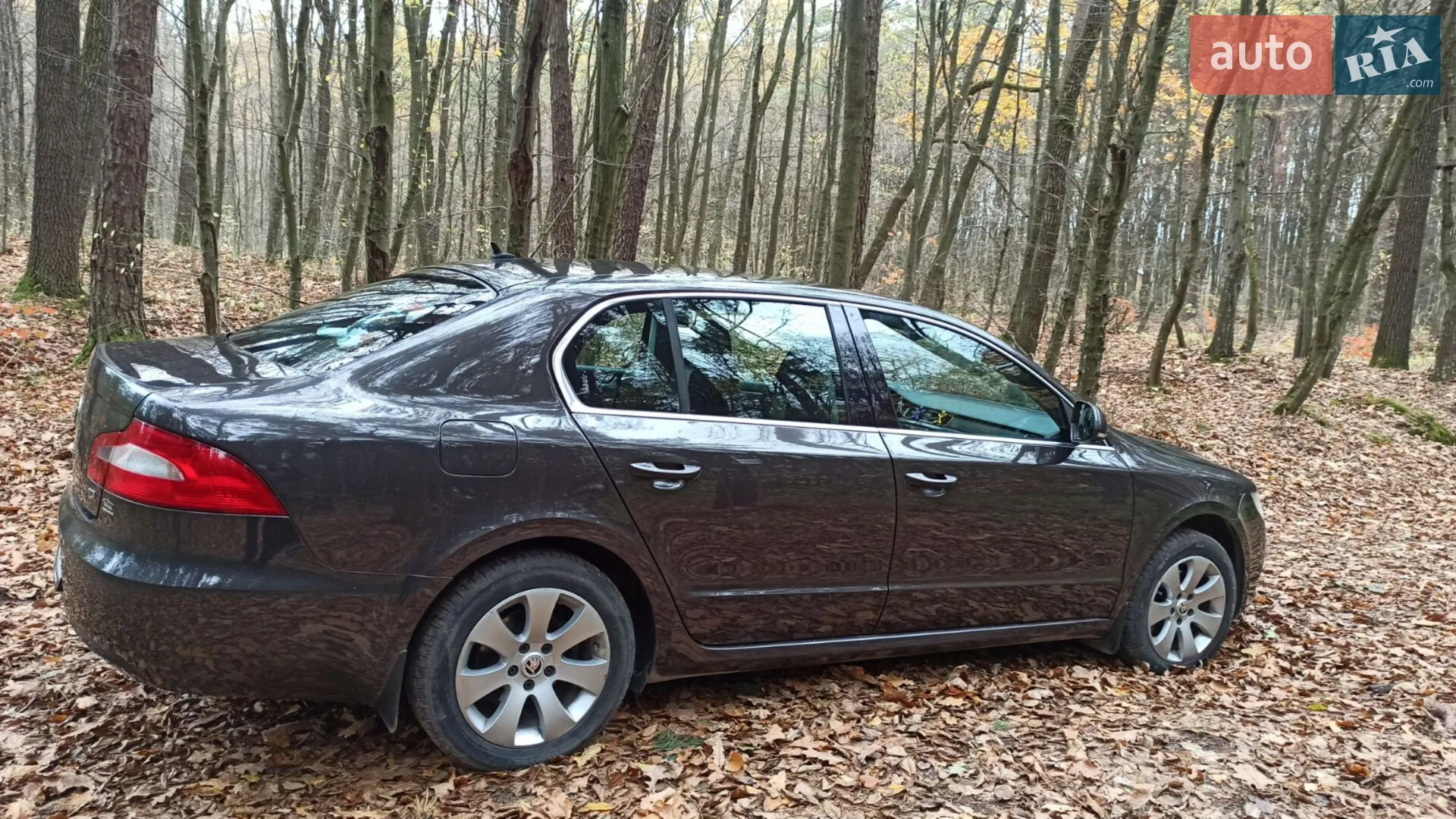 2010 Skoda Superb - мініатюра 5