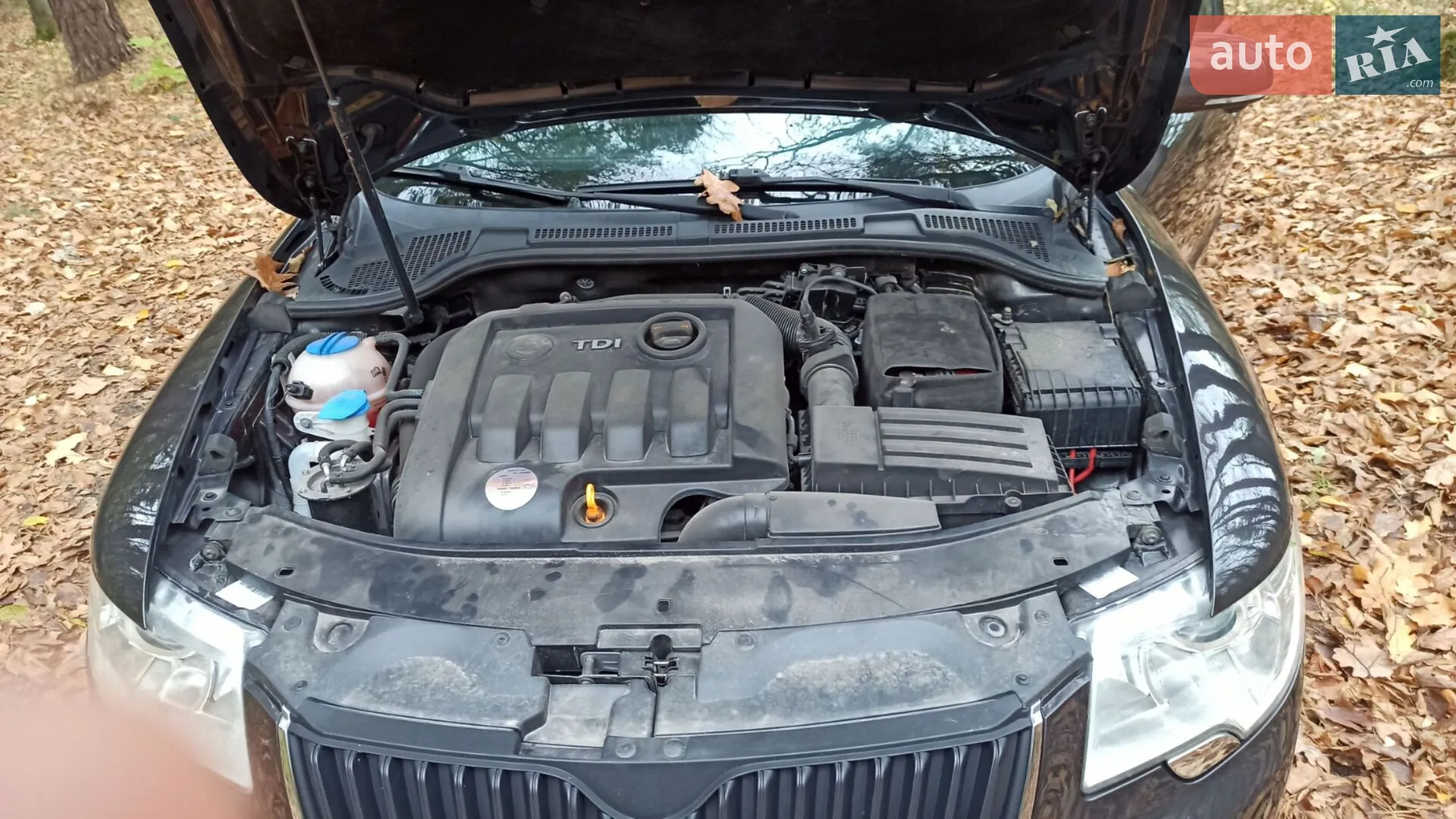 2010 Skoda Superb - мініатюра 13