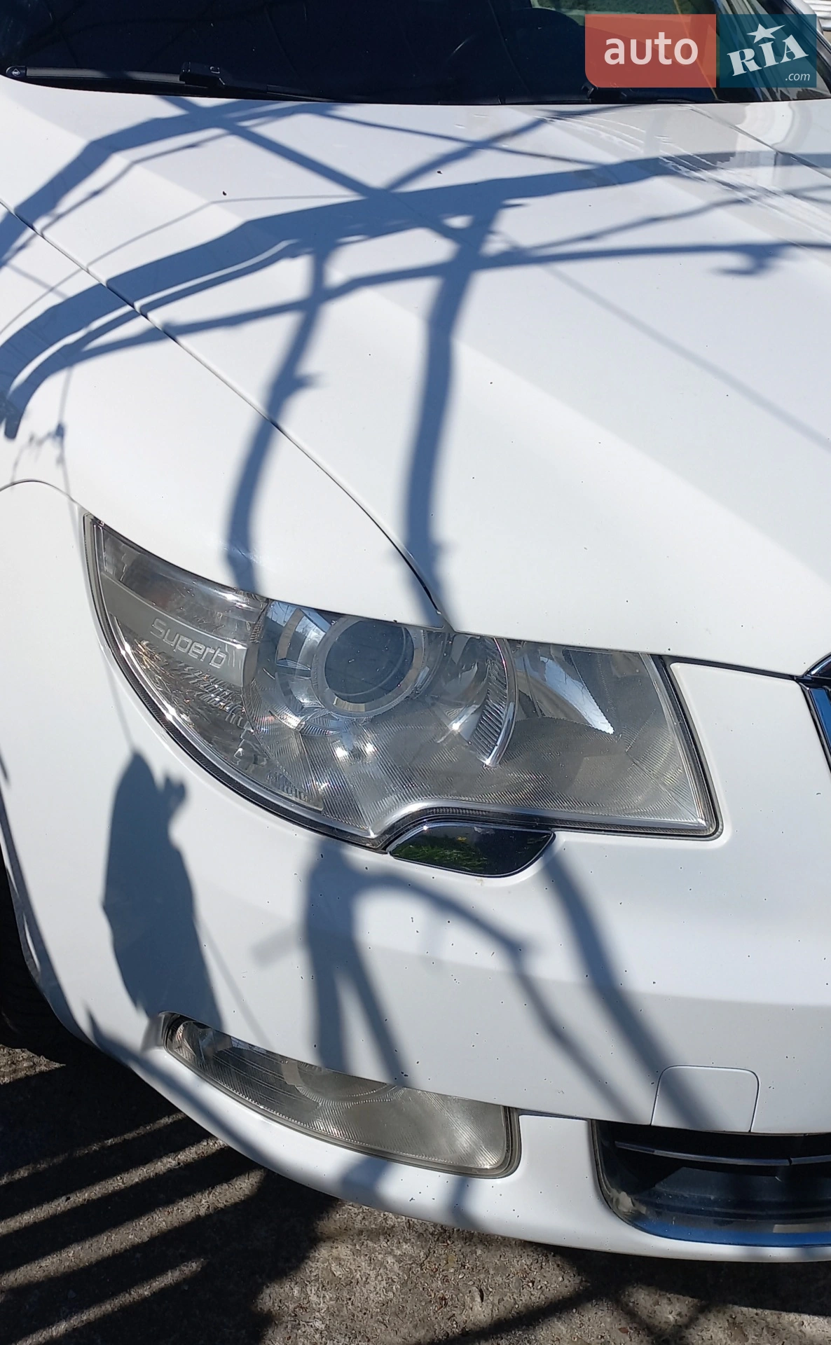 2010 Skoda Superb - мініатюра 4