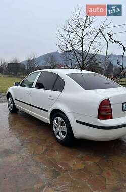 Лифтбек Skoda Superb 2003 в Калинах