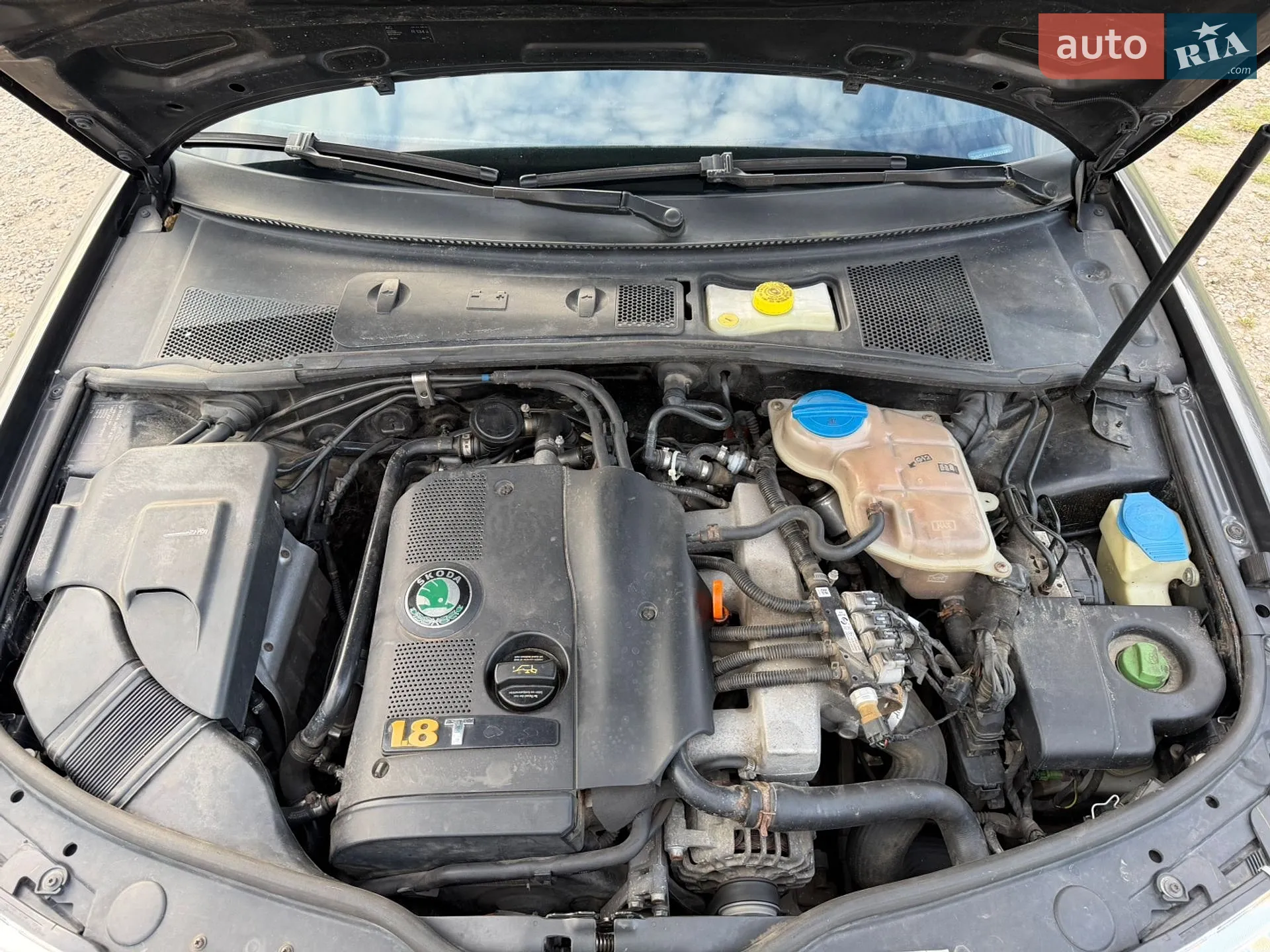 Skoda Superb 2005 VIN TMBCL63U149069397 фото оголошення 34 з 36