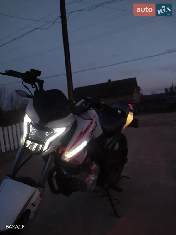 SkyBike Atom 2019
