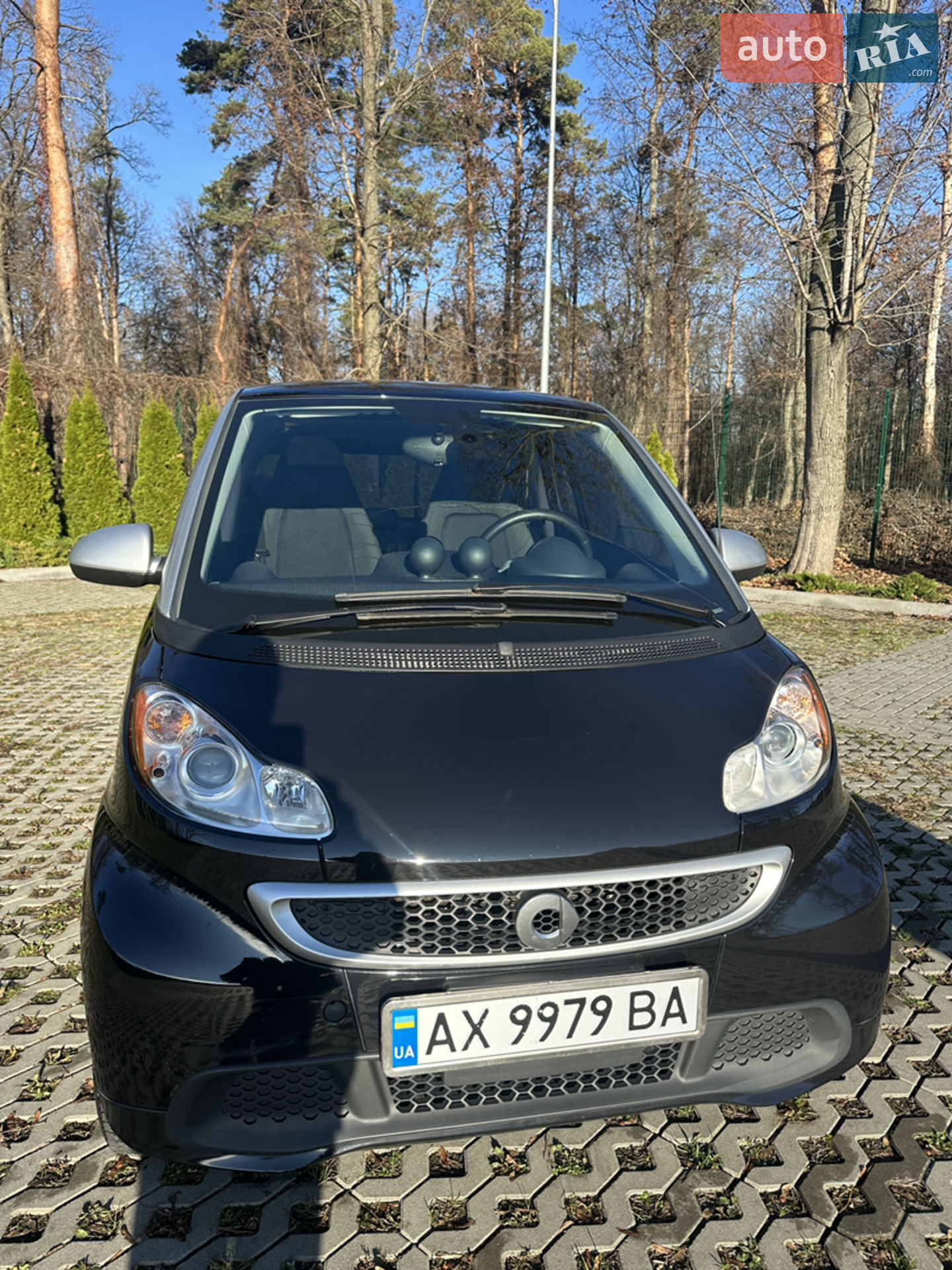 2013 Smart Fortwo - мініатюра 12