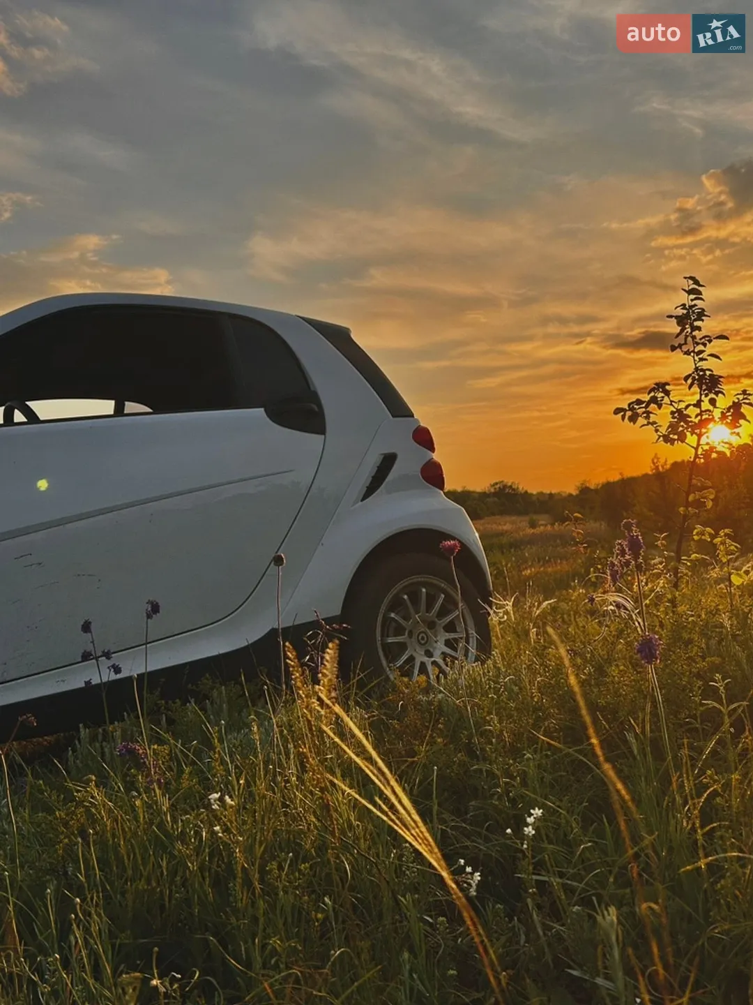 2011 Smart Fortwo - мініатюра 14