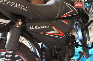 Грузовые мотороллеры, мотоциклы, скутеры, мопеды Spark SP 125C-2C 2019 в 