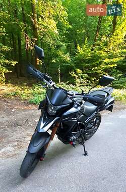 Мотоцикл Без обтекателей (Naked bike) Spark SP 300T-2 2023 в 